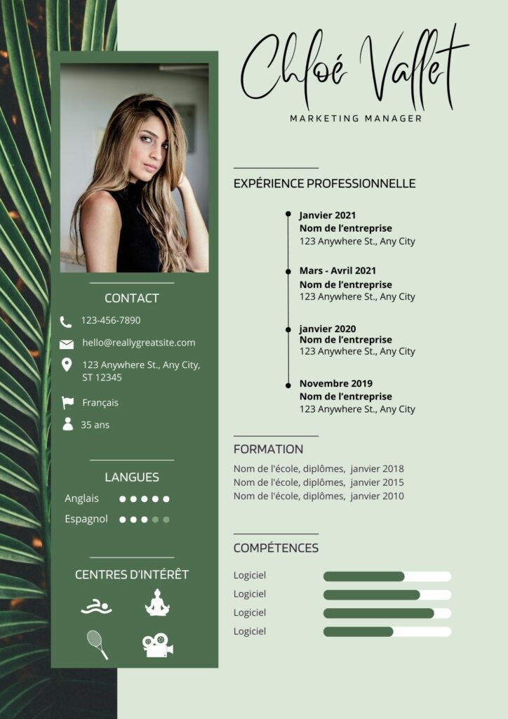 exemple de CV professionnel conçu par les accros du web en Guadeloupe