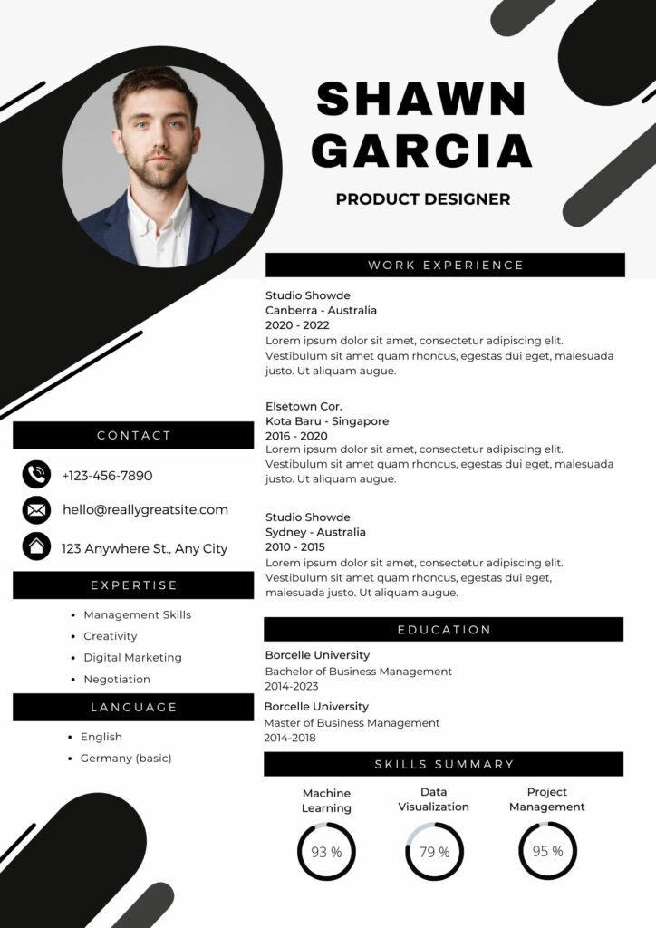 exemple de CV professionnel conçu par les accros du web en Guadeloupe