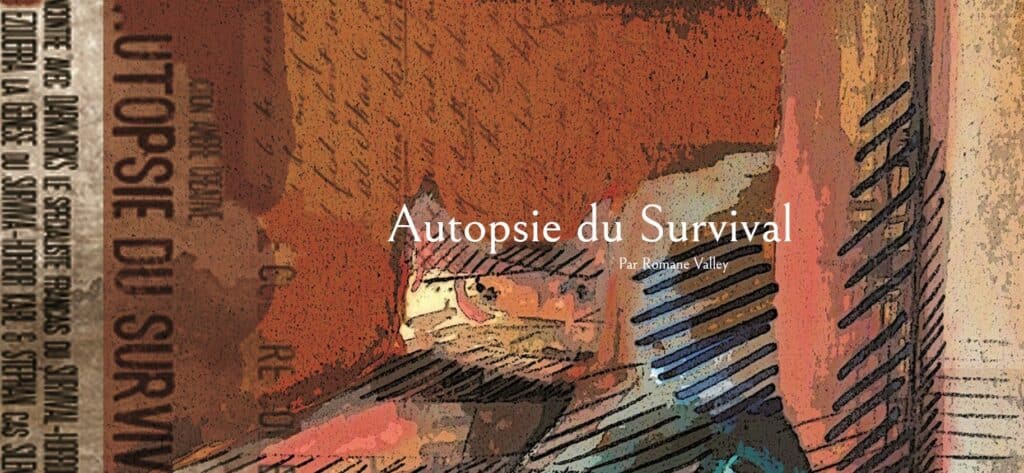 exemple de site professionnel conçu par les accros du web en Guadeloupe pour un écrivain de romans
